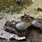 Misshapen eye glasses sit on a moss-eaten paint surface